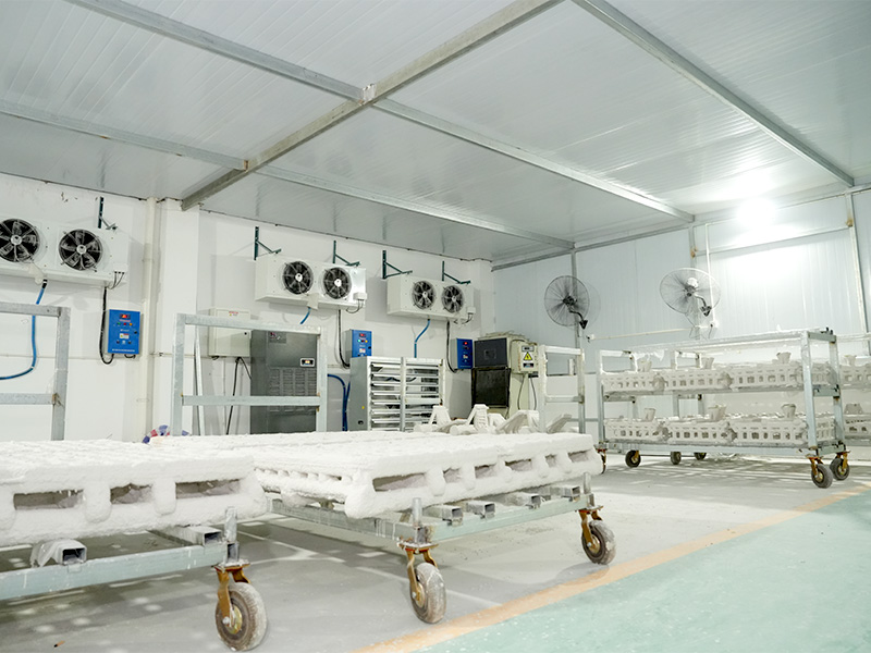 Equipamento de planta